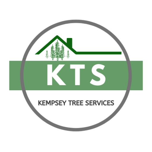 KTS Kempsey Tree Services logo