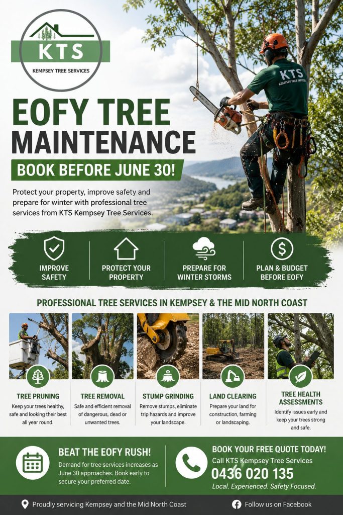 EOFY Tree Maintenance in Kempsey: Why Property Owners Should Book Before June 30 3 %KTS kempsey tree services %